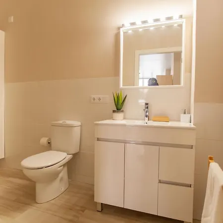 Md Patacona Mid-term *